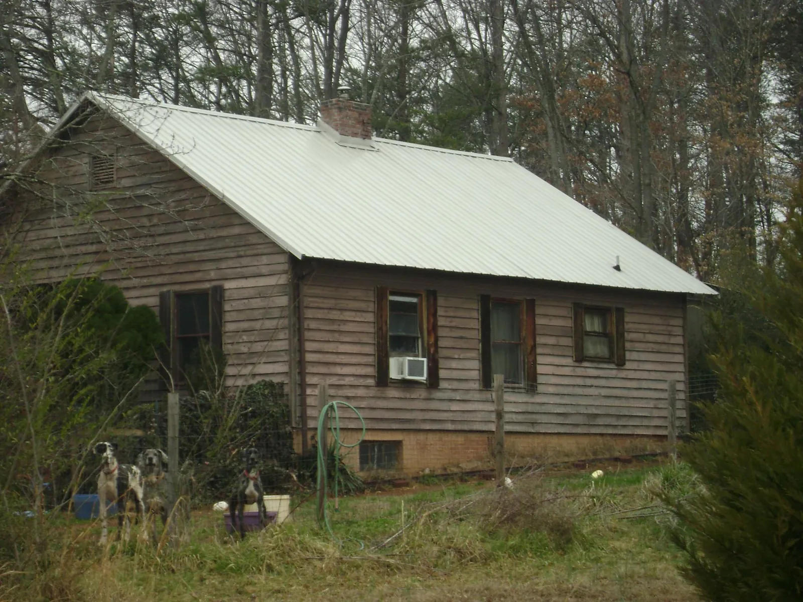 White metal roof on an old wood sided farmhouse, from a Asphalt Shingle Roof Repair job in Fraser